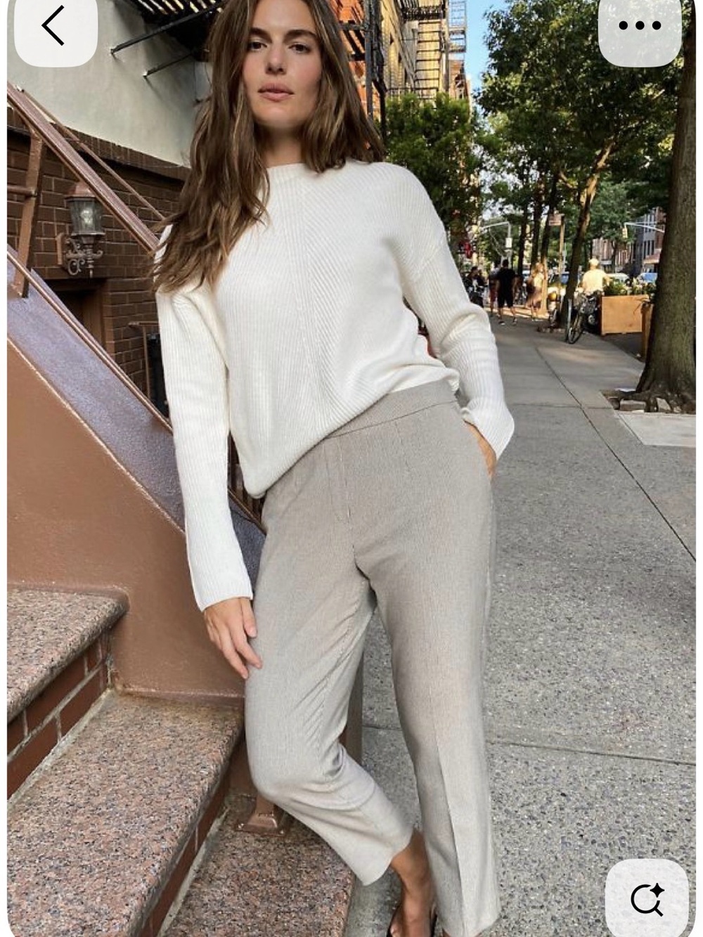 Aritzia Babaton Conan Pant